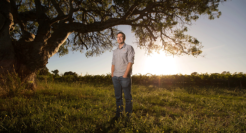 Patrick of Coonawarra sunset